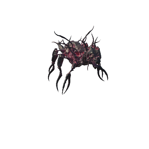 Base_Mesh_Monster_Bone_Beetle (1)